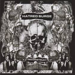 Hatred Surge : Collection 2008-2009